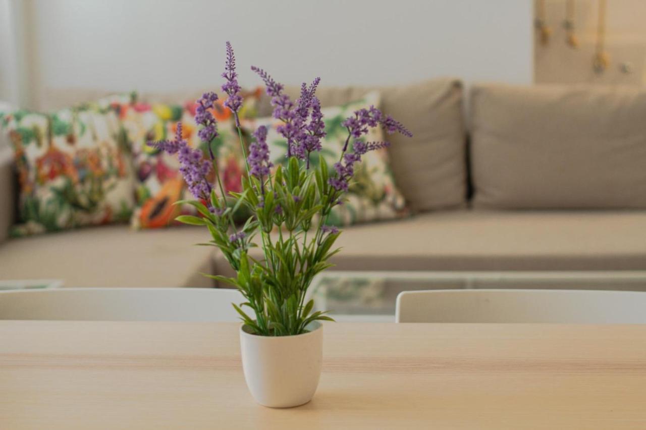 Casa Cal Music Apartment อัลเตอา ภายนอก รูปภาพ